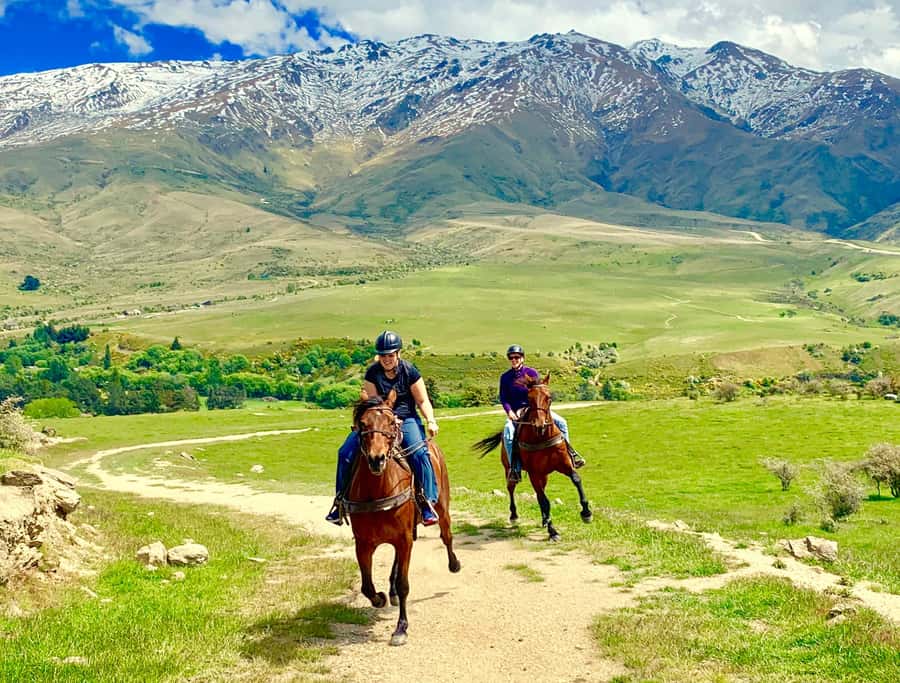Cardrona Valley: Horse Trekking Experience - Your One-on-One Lesson: How Beginners Gain Real Control