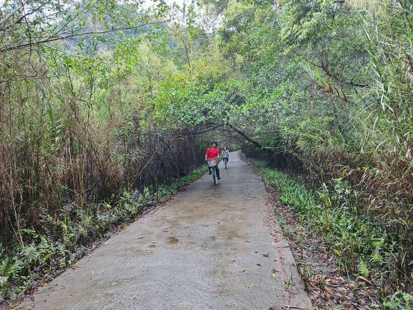 Cat Ba National Park Full Day Guide Tour Trekking & Kayaking - Trekking Cat Ba National Park: forest wildlife and three mountain climbs