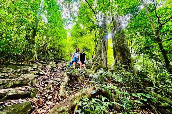Cat Ba National Park Full Day Trekking Tour to Viet Hai Village - How the 7–8 Hours Actually Feels (and Why Timing Matters)