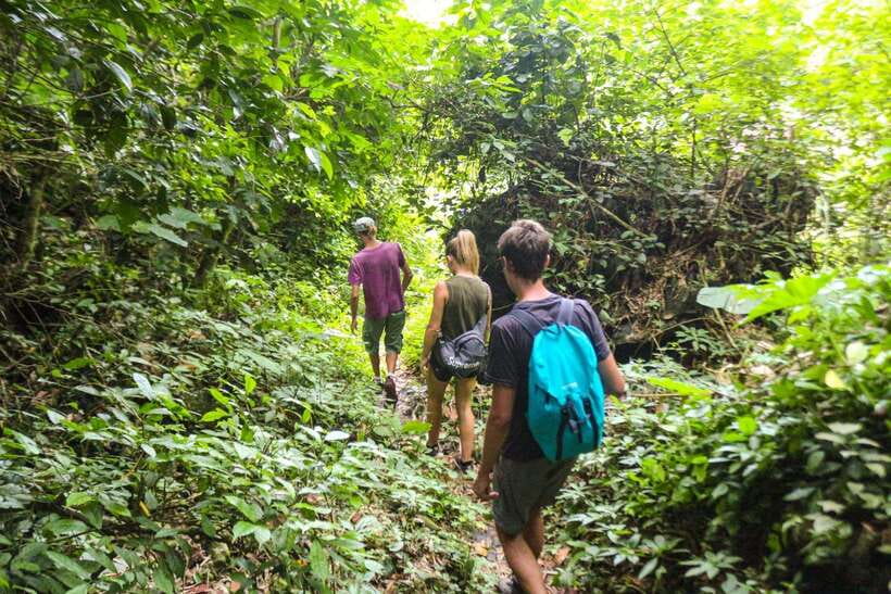 Cat Ba: National Park Trek, Village Visit and Kayak Day Tour - Frog Pond and Va Nuoc Trees: A Calm Pause That Feels Like Luck