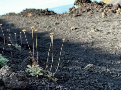 Catania: Etna Morning or Sunset Trek with Lava Tunnel & Gear - Morning vs sunset: picking the light you want