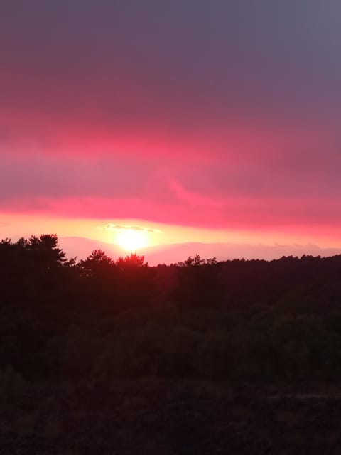 Catania: Sunset Trekking on Mount Etna with Wine Tasting - Piano Vetore at Sunset: Wine Tasting With a View That Holds Your Attention