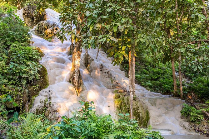 Chiang Dao Cave Trekking Small Group Tour – Full Day - Chiang Dao Cave: Buddha Shrines in Limestone Rooms