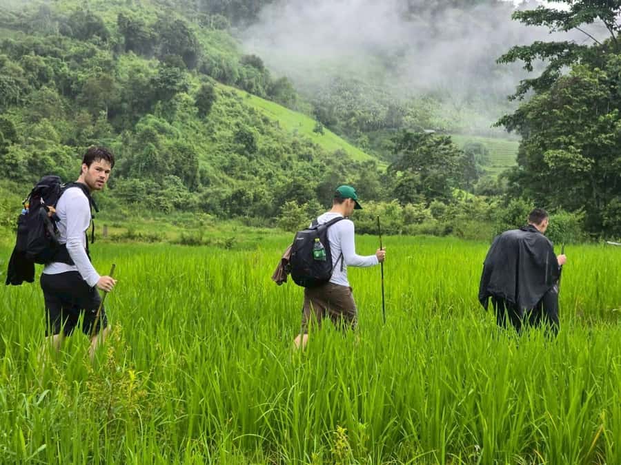 Chiang Mai: 1-Day Trekking Experience to Village & Waterfall - Price and Value: What $61 Buys You (and What It Doesn’t)