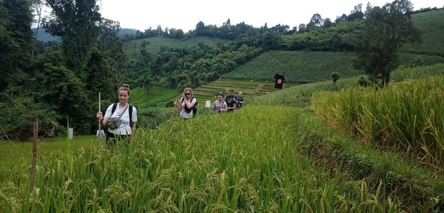 Chiang Mai: 2-Day Jungle Trek with Elephant Farm & Raft Ride - Jungle + Village + Elephants: What This 2-Day Chiang Mai Mix Really Delivers