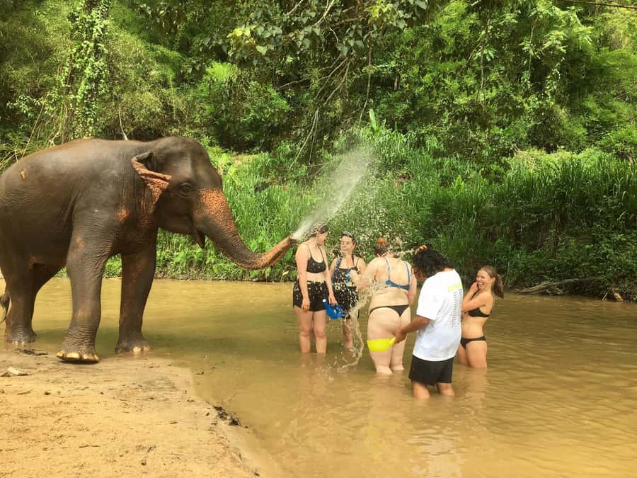 Chiang Mai: 2-Day Jungle Trek with Elephant Farm & Raft Ride - Day 2 Morning to Afternoon: Breakfast, Elephant Sanctuary, and the Return to Chiang Mai