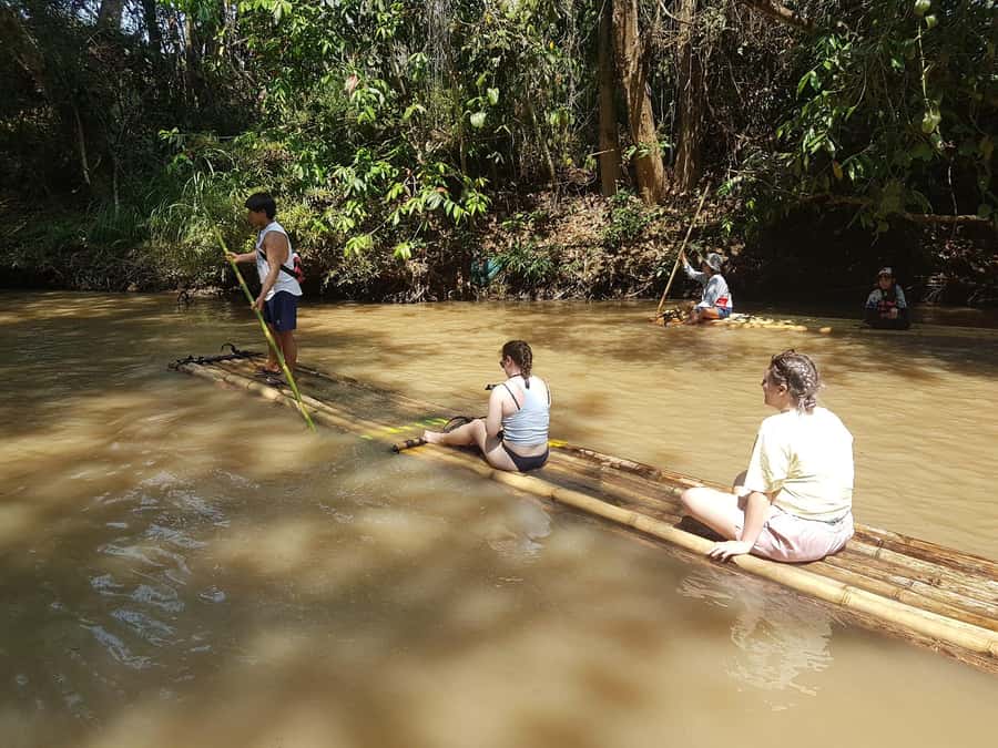 Chiang Mai: 2-Day Jungle Trek with Elephant Farm & Raft Ride - Guides Make a Difference: Photos, Pace, and Real Explanations on the Trail