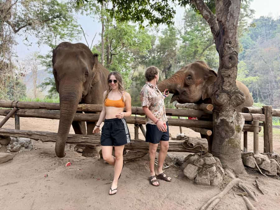 Chiang Mai 2-Day: Trekking, Tubing & Elephant Observation - Day 2: breakfast, check-out, and your return to Chiang Mai