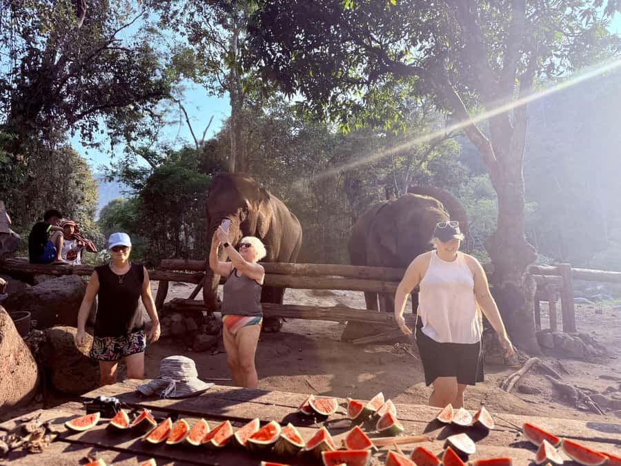 Chiang Mai 2-Day: Trekking, Tubing, Waterfalls & Elephant - Sunshine for Elephants: Hand-Feeding That Feels Different (When Included)