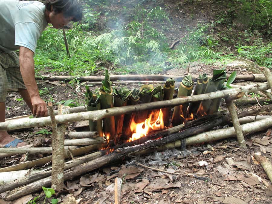 Chiang Mai: 2 Days, 1 Night Non-Tourist Trek - From Hotel Pickup to Elephant Camp: a small-group start you can handle