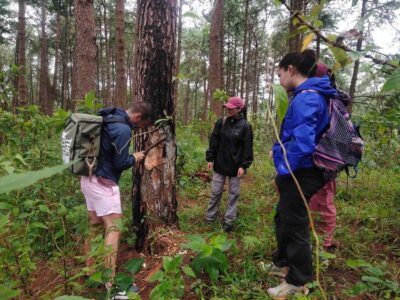 Chiang Mai: 2 Days, 1 Night Non-Tourist Trek - The Non-Tourist Jungle Trek: learning the ecosystem as you walk