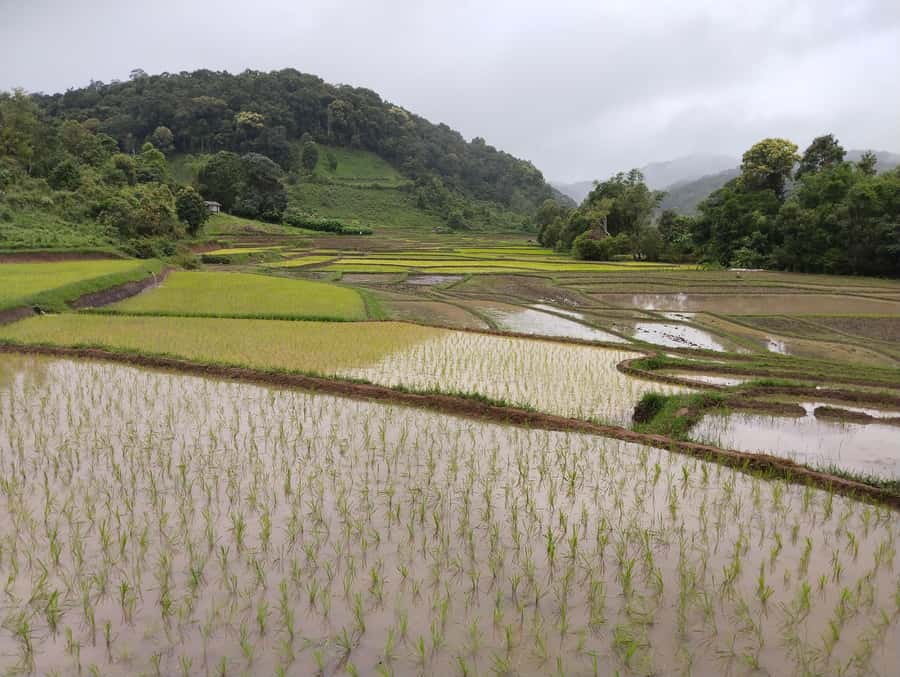 Chiang Mai: 2-Days Chiang Mai Amazing Trek - Karen hill tribe homestay: the part that changes the trip