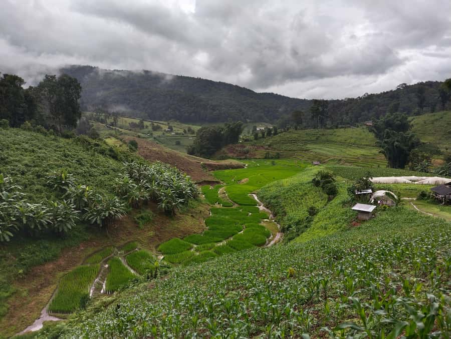 Chiang Mai: 2-Days Chiang Mai Amazing Trek - Bamboo rafting: the gentle ending you didn’t know you needed