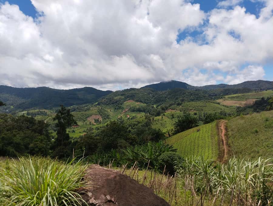 Chiang Mai: 2-Days Chiang Mai Amazing Trek - A countryside market stop that keeps it local