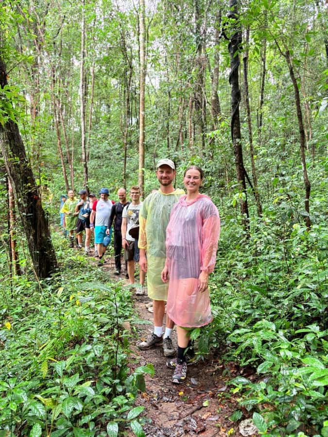 Chiang Mai: 2-Days Jungle Trek, Waterfalls and Karen Village - Rice field seasons in Mae Wang: why the timing affects what you see