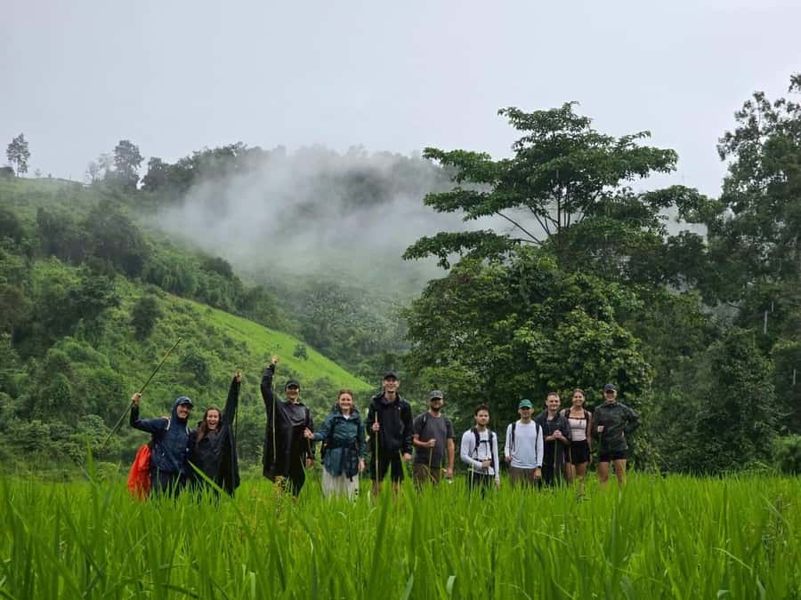 Chiang Mai: 2-Days Jungle Trek, Waterfalls and Karen Village - Day 2: Jungle trekking with wildlife chances, plus a second waterfall