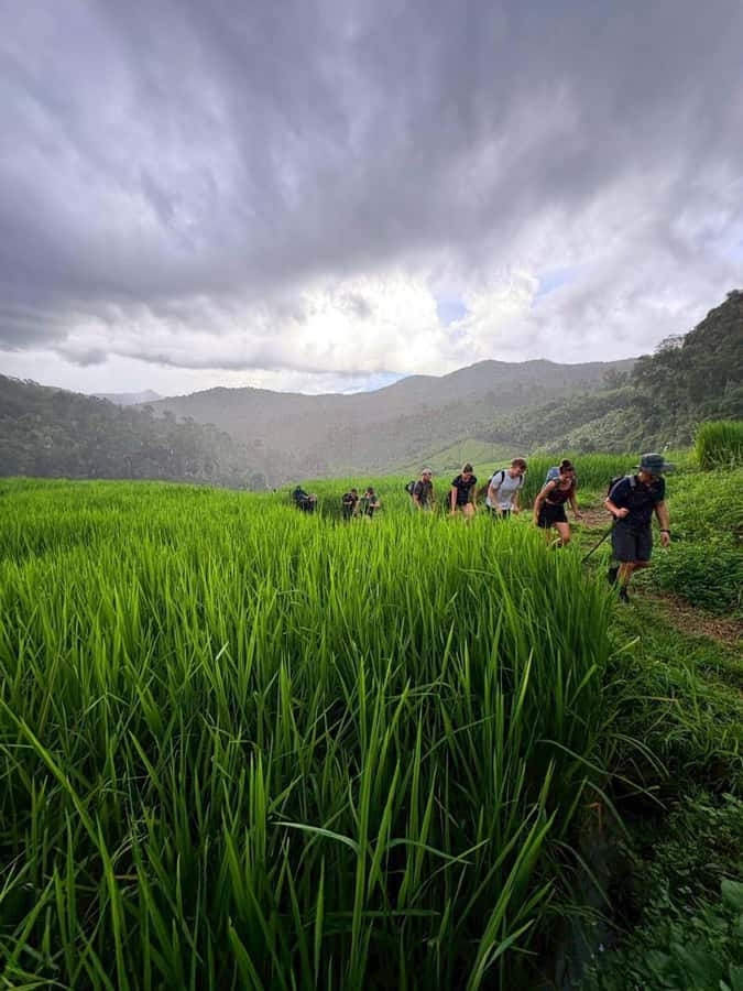 Chiang Mai: 2-Days Jungle Trek, Waterfalls and Karen Village - Fitness and gear: how to make the trek easier on yourself