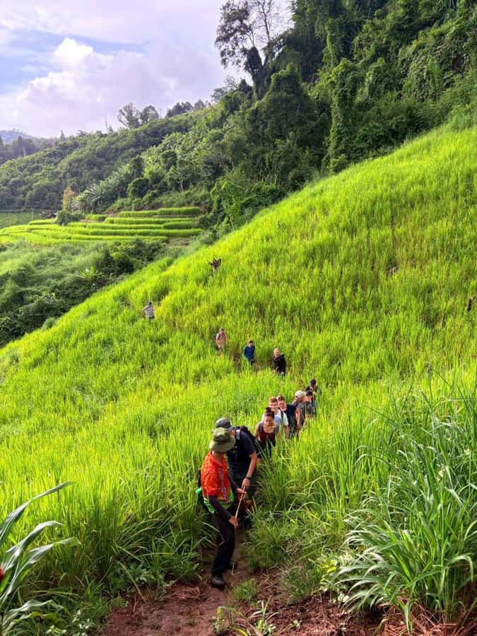 Chiang Mai: 2-Days Jungle Trek, Waterfalls and Karen Village - Waterfalls, wildlife, and eco-tourism value: what you’re actually buying