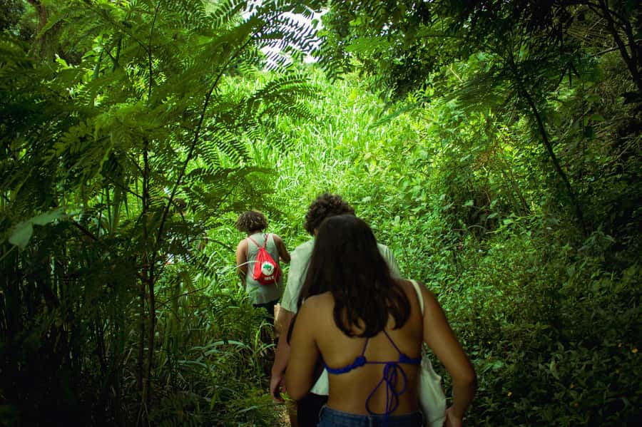 Chiang Mai: 3-Day Karen Hill Tribe Immersion with Trekking - Key things that make this trek worth your time