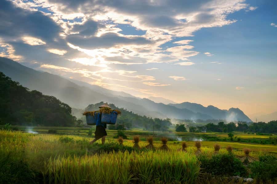 Chiang Mai: 3-Day Karen Hill Tribe Immersion with Trekking - Why Doi Inthanon and a Karen village base make this trek different