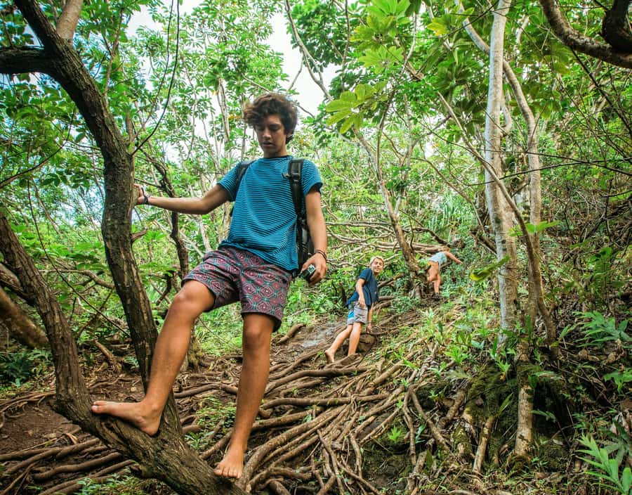 Chiang Mai: 3-Day Karen Hill Tribe Immersion with Trekking - Day 2: Gibbon country, two villages, and cultural exchange that feels lived-in