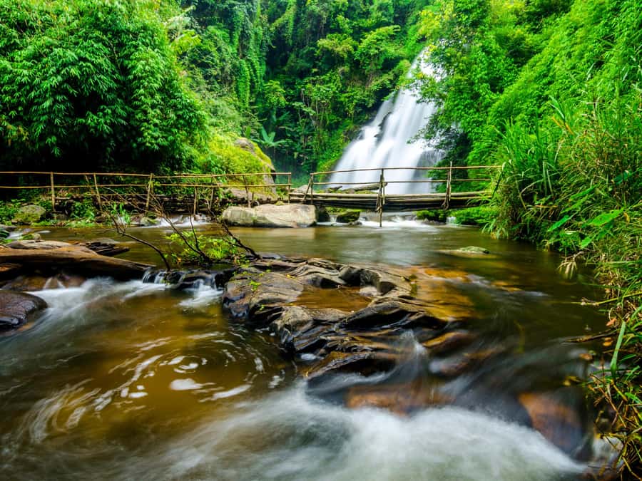 Chiang Mai: 3-Day Karen Hill Tribe Immersion with Trekking - Day 3: Waterfall swims, cloud-forest footpaths, and a calm farewell meal