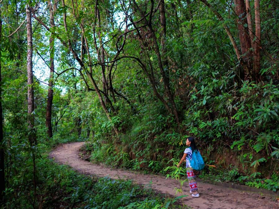 Chiang Mai: 3-Day Karen Hill Tribe Immersion with Trekking - Fitness and pacing: what moderate really means in the jungle