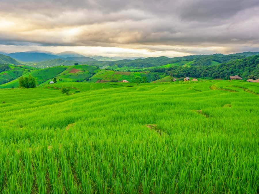 Chiang Mai: 3-Day Karen Hill Tribe Immersion with Trekking - Camps, showers, and the off-grid reality you should plan for
