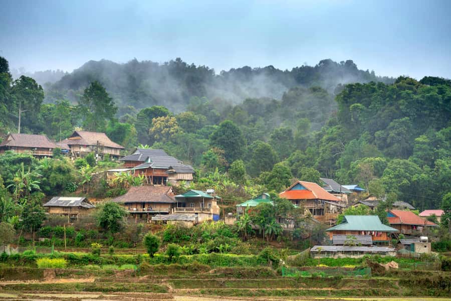 Chiang Mai: 3-Day Karen Hill Tribe Immersion with Trekking - Food, plant lessons, and what you’ll actually learn beyond trekking
