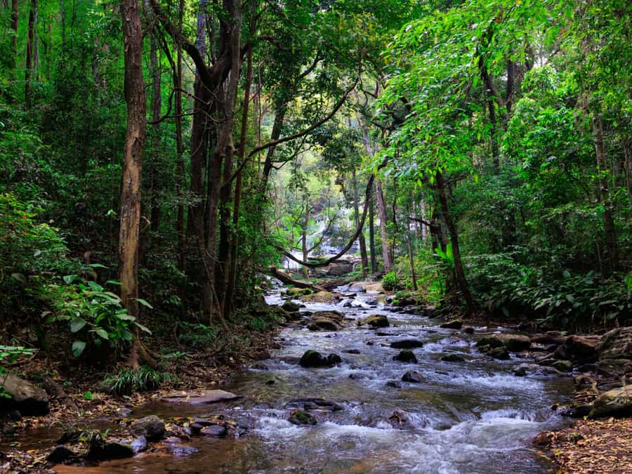 Chiang Mai: 3-Day Karen Hill Tribe Immersion with Trekking - What to pack (so you’re comfortable at each waterfall pause)