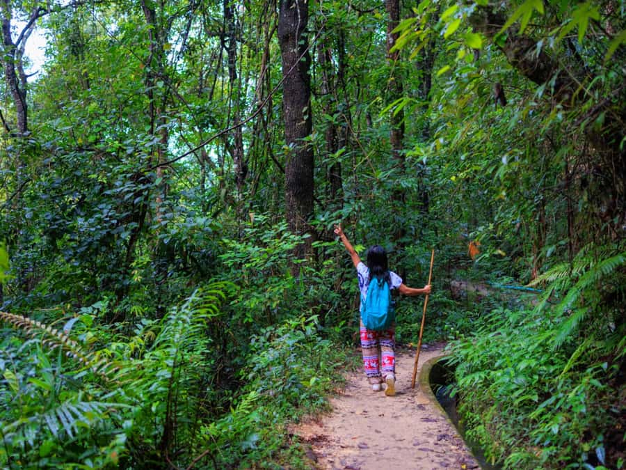 Chiang Mai: 3-Day Karen Hill Tribe Immersion with Trekking - Day 1: From Chiang Mai pickup to firelight in the forest camp
