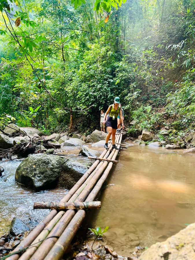 Chiang Mai Adventure: Trekking, Tubing & Waterfall Slide - Key highlights to circle before you book
