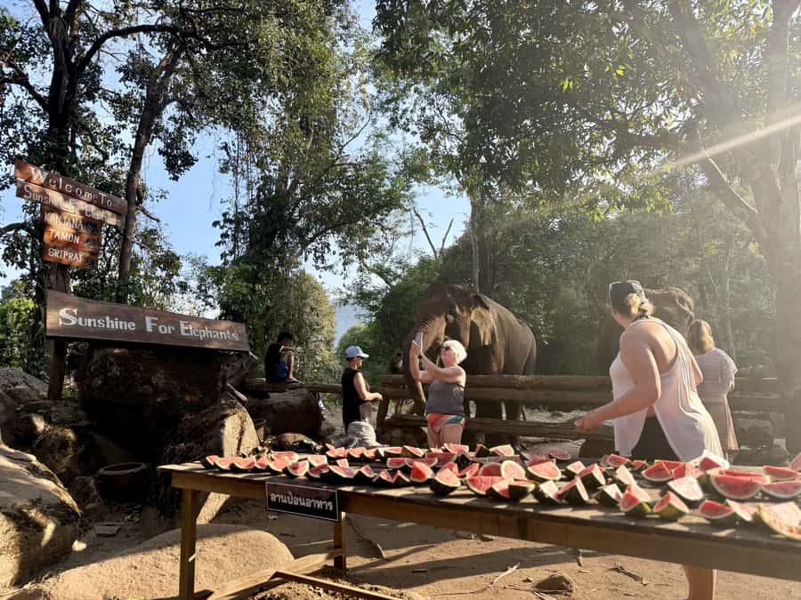 Chiang Mai Adventure: Trekking, Tubing & Waterfall Slide - Optional elephant observation: respectful, no-riding encounters