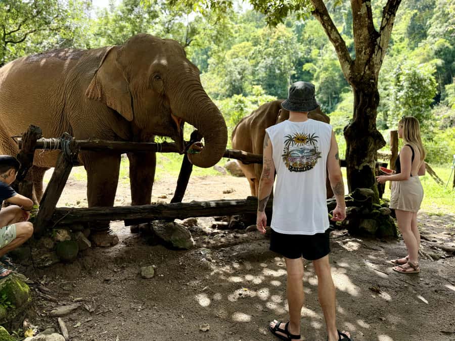 Chiang Mai Adventure: Trekking, Tubing & Waterfall Slide - What to bring for wet feet, hot sun, and a muddy hike