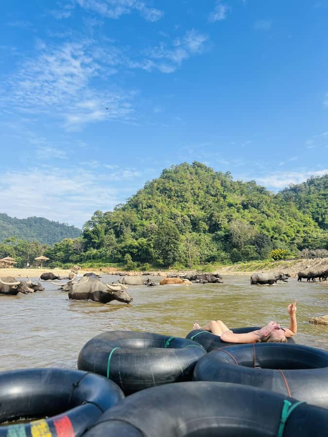 Chiang Mai Adventure: Trekking, Tubing & Waterfall Slide - Price and value: why $70 can feel fair here