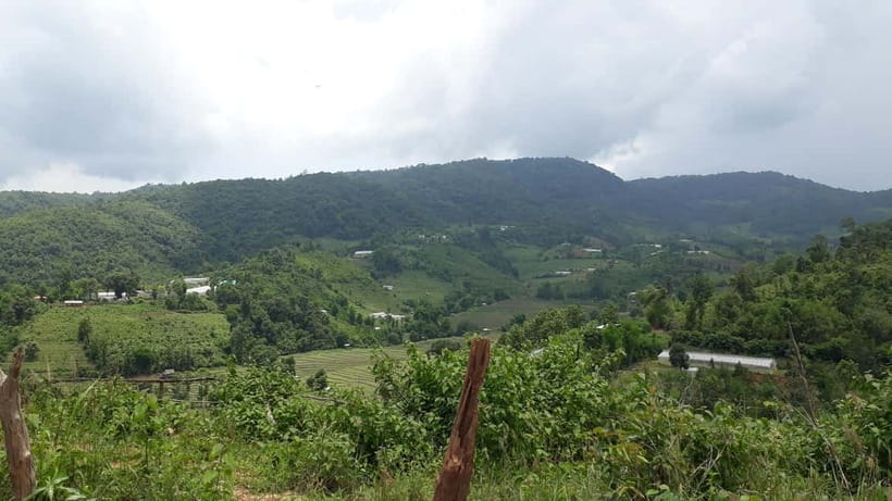 Chiang Mai Authentic Trekking - Forest lunch: a healthy meal with a big-air feeling