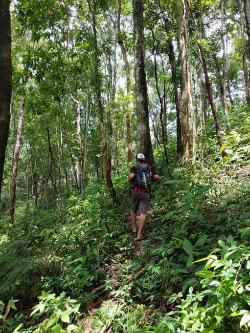 Chiang Mai Authentic Trekking - Timing, trail facts, and the seasons to plan around