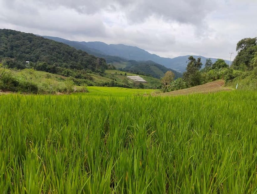 Chiang Mai Authentic Trekking - A real market stop for lunch and simple supplies