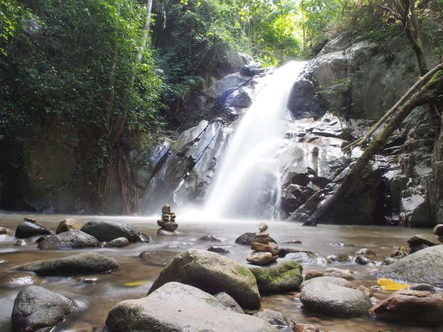 Chiang Mai: Chiang Dao Caves and Jungle Trek with Lunch - Hot springs break: outdoor baths and time to reset
