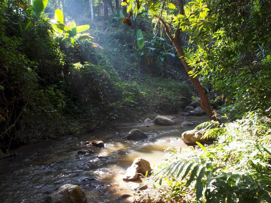 Chiang Mai: Chiang Dao Caves and Jungle Trek with Lunch - Price and value: what $109 buys you (and what you might add)