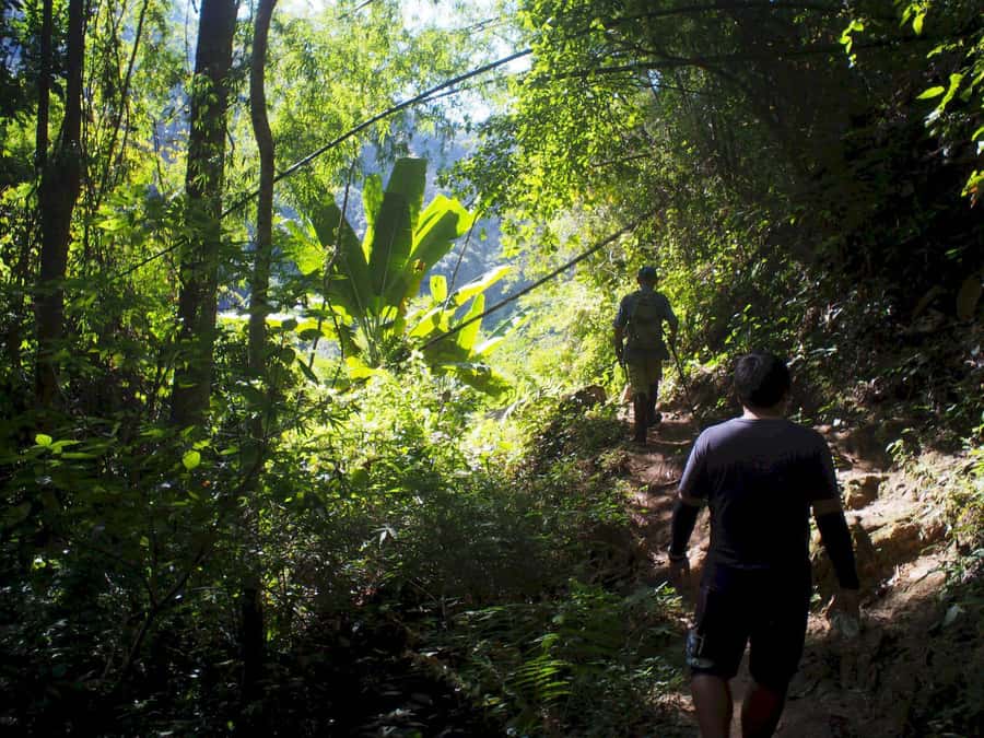 Chiang Mai: Chiang Dao Caves and Jungle Trek with Lunch - What to bring, and the one thing that matters most