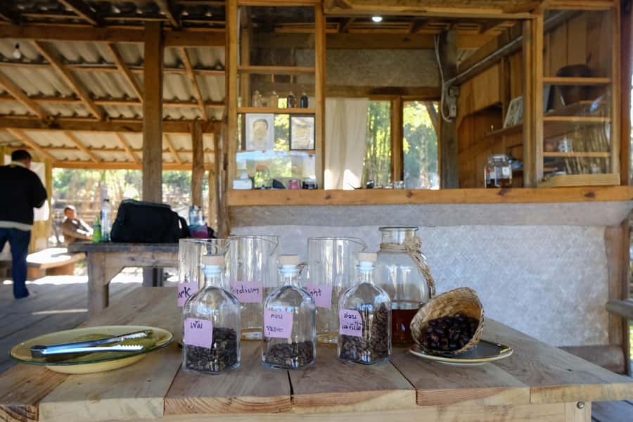 Chiang Mai Coffee Full Day Tour: Trek, Brew & Roast Journey. - Farm-to-Table Vegetarian Lunch: What You Eat Tells You Where You Are
