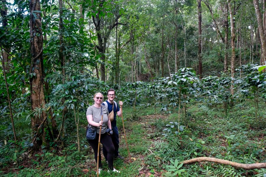 Chiang Mai Coffee Full Day Tour: Trek, Brew & Roast Journey. - Getting to Emerald Highlands: The 4WD Mountain Start