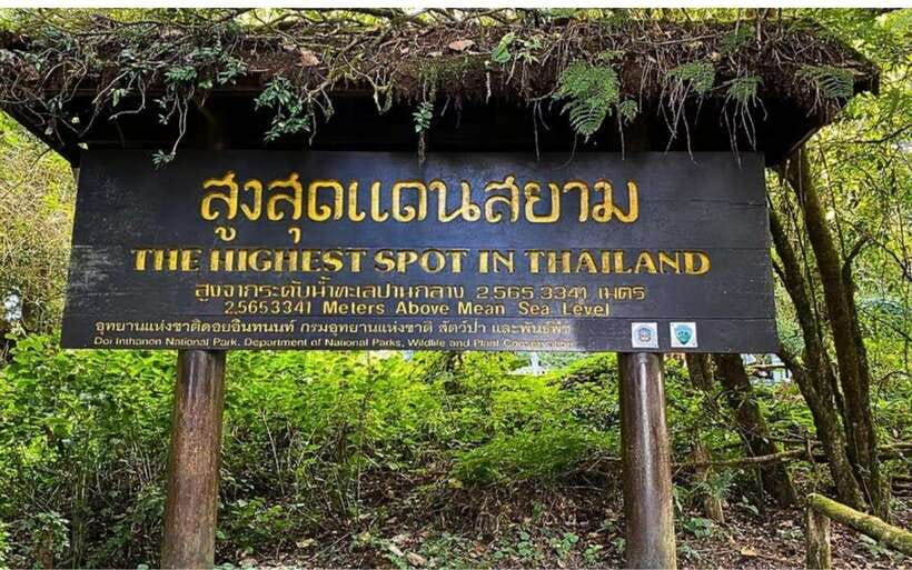 Chiang Mai: Doi Inthanon National Park and Pha Dok Siew Trek - Price and logistics: what $39 gets you (and what might cost extra)