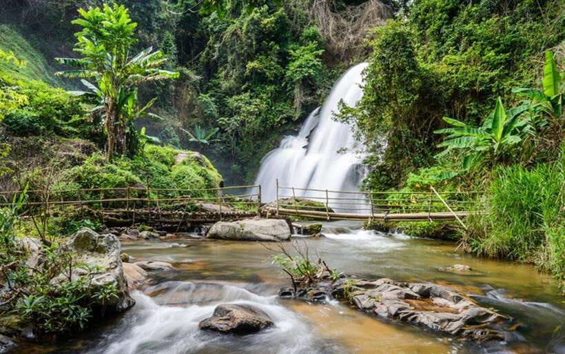 Chiang Mai: Doi Inthanon National Park and Pha Dok Siew Trek - Why Doi Inthanon feels like a different Chiang Mai