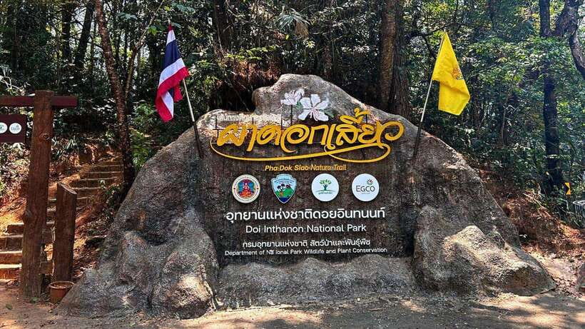 Chiang Mai: Doi Inthanon National Park and Pha Dok Siew Trek - Doi Inthanon photo stops and visitor center time