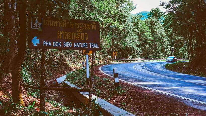 Chiang Mai: Doi Inthanon National Park and Pha Dok Siew Trek - Pha Dok Siew Nature Trail: gentle duration, stair reality