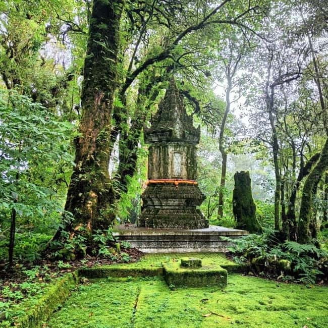 Chiang Mai: Doi Inthanon National Park+Trek Pha Dok Siew - A Full-Day Circuit in Doi Inthanon: Cool Air and Big Views