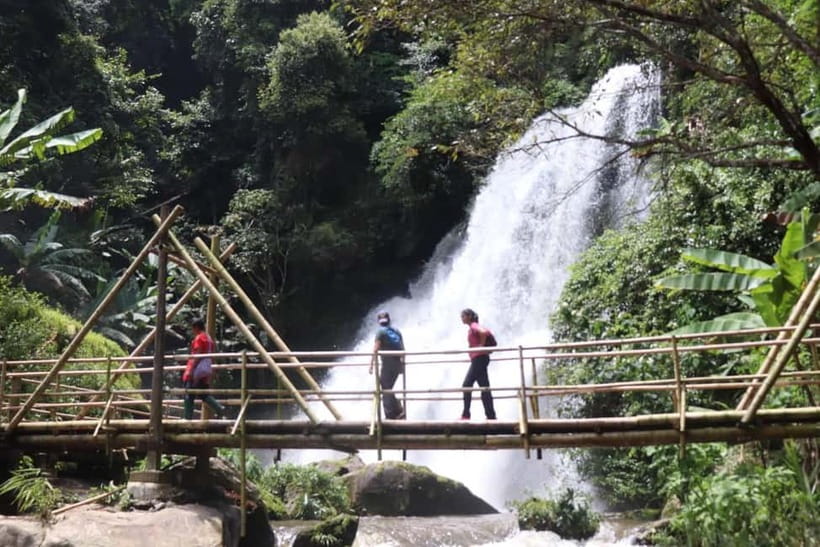 Chiang Mai: Doi Inthanon National Park+Trek Pha Dok Siew - Pha Dok Siew Nature Trail: The Best Part for Walk-and-Learn Travelers