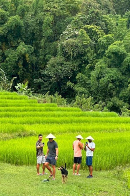 Chiang Mai: Doi Inthanon Park and Pha Dok Siew Trail Trek - Key Things That Make This Tour Worth Your Time